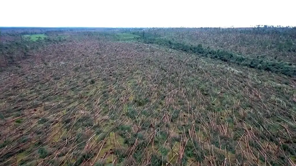 Hektary drzew połamanych jak zapałki