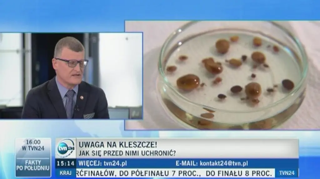 Jak uchronić się przed ukąszeniem kleszcza?
