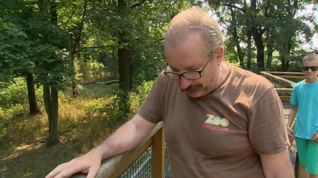 Jak zwierzęta radzą sobie z upałami