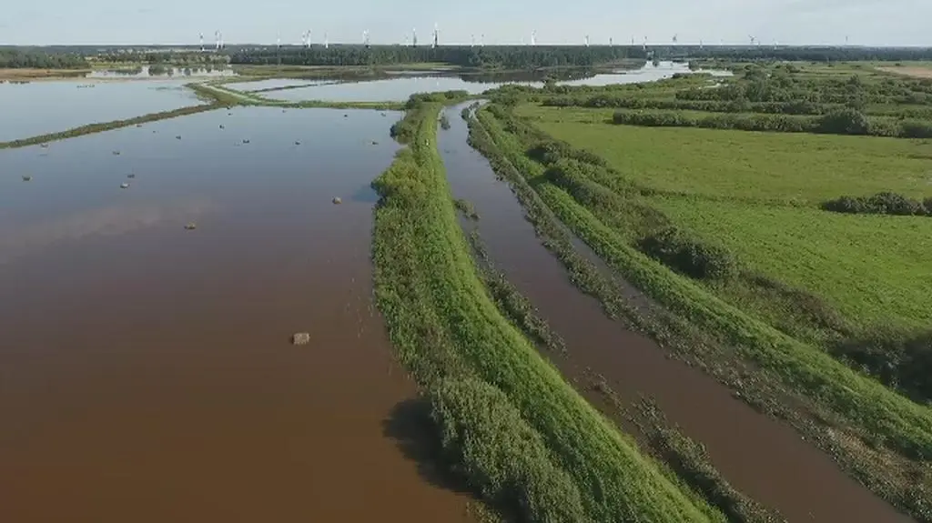 Nagranie z drona znad zalanych terenów