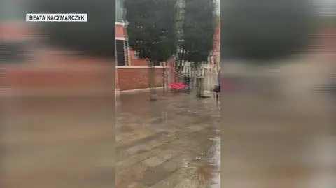 "Nie wystarczą już tylko krótkie kalosze" (wideo archiwalne)
