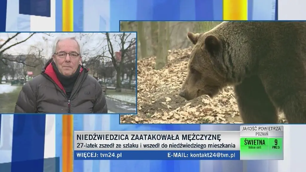 Niedźwiedzie są niebezpieczne dla ludzi