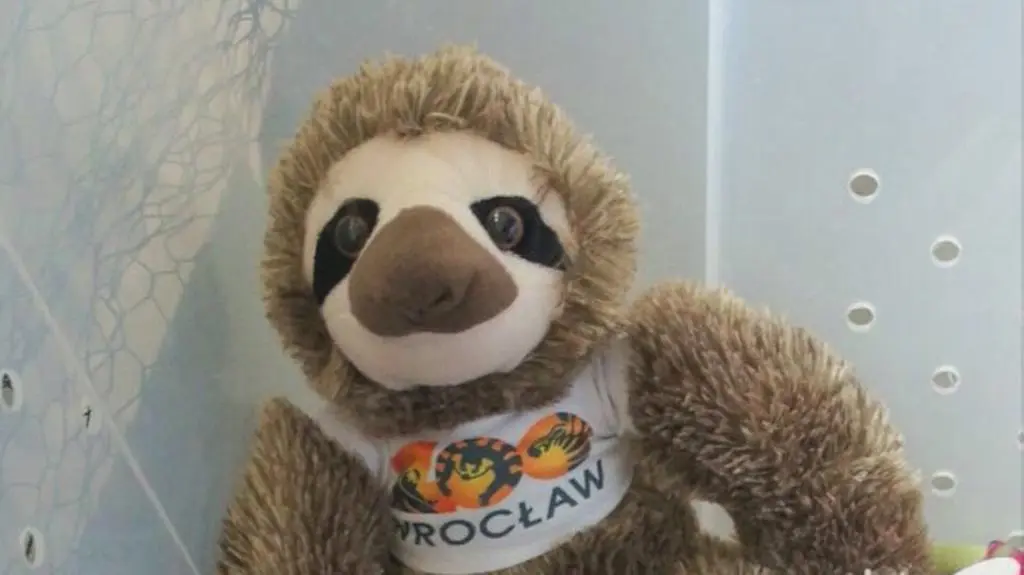 Nowy mieszkaniec wrocławskiego zoo