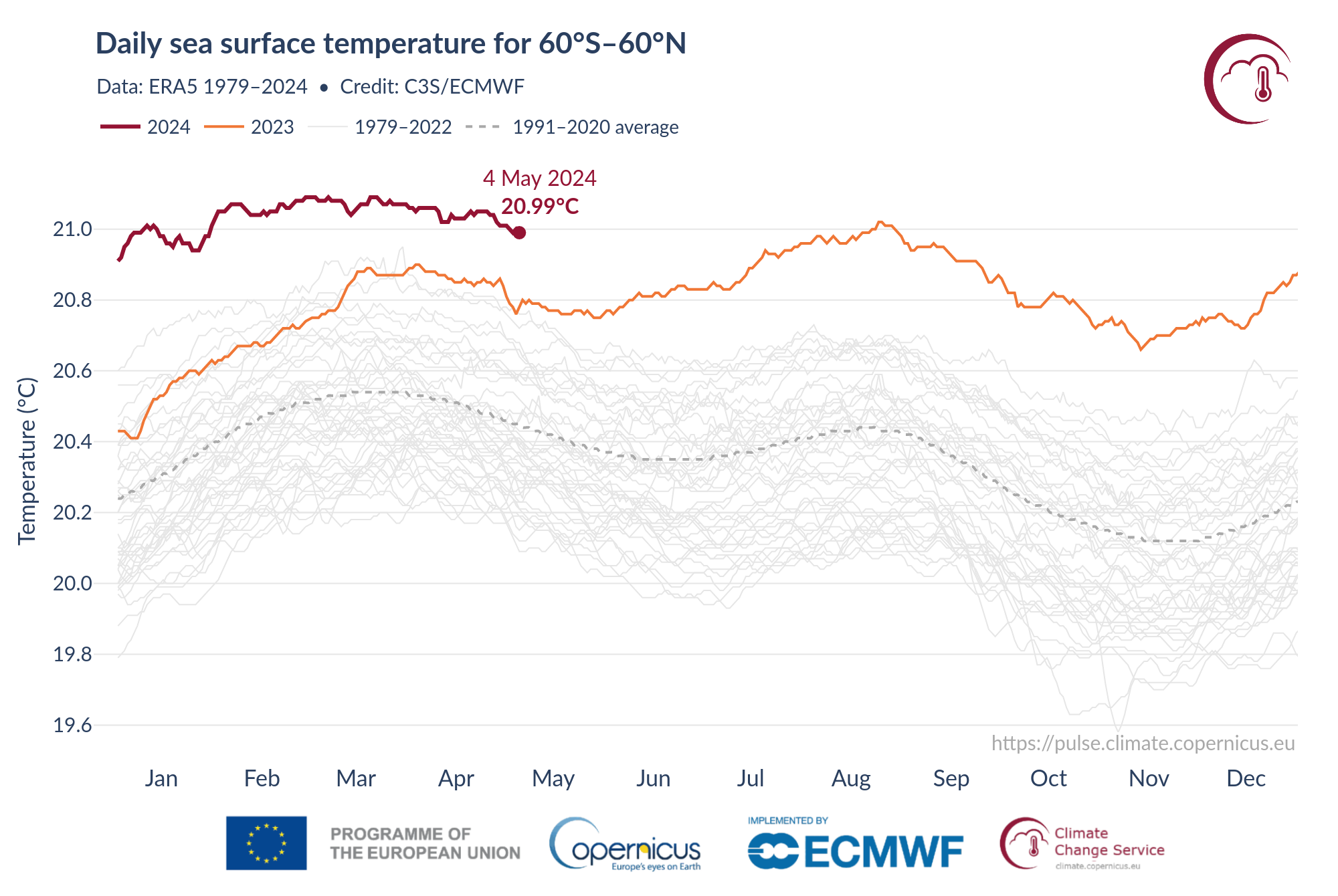 Dzienna temperatura powierzchni morza (st. C) uśredniona dla globalnego oceanu pozapolarnego (60st. S–60st. N) dla 2016 (żółta linia), 2023 (czerwona) i 2024 (czarna). Wszystkie inne lata między 1979 a 2022 zostały oznaczone szarymi liniami.