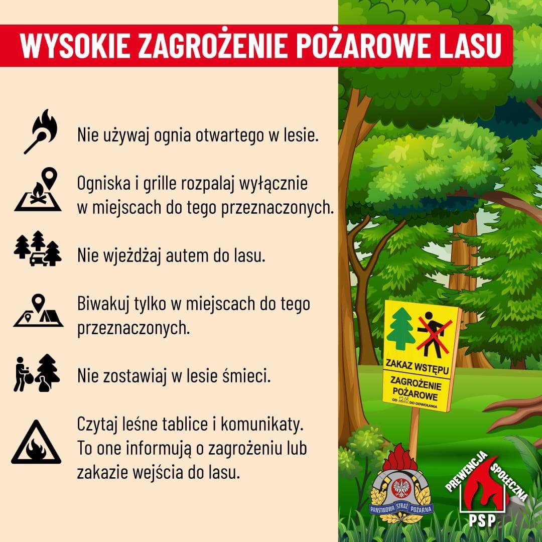 Zasady bezpieczeństwa w lesie