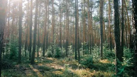 "Pamiętajmy o tym, aby nie blokować dróg dojazdowych" (archiwum)