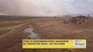 Płoną tereny Biebrzańskiego Parku Narodowego