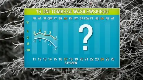 Pogoda na 16 dni: mróz zaatakuje w połowie stycznia