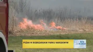Pożar w Biebrzańskim Parku Narodowym