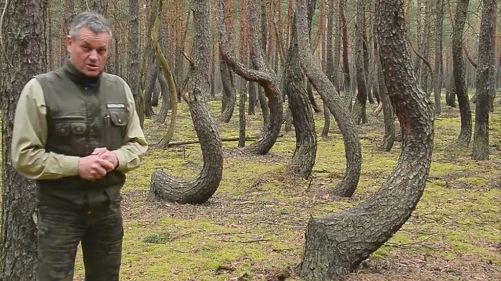 Próby wyjaśnienia niezwykłego zjawiska