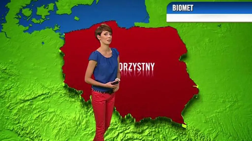 Prognoza pogody dla meteopatów, 08