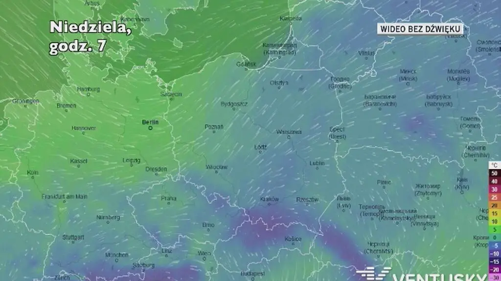 Prognozowana temperatura w ciągu kolejnych dni (Ventusky)