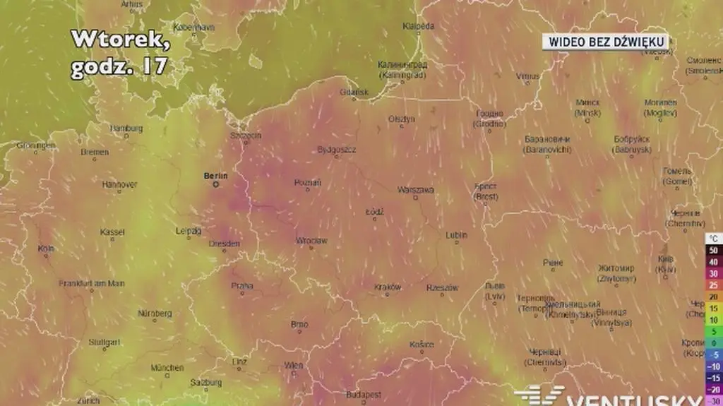 Prognozowana temperatura w ciągu kolejnych dni (Ventusky)