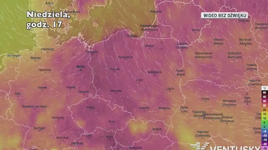 Prognozowana temperatura w ciągu kolejnych dni (Ventusky)