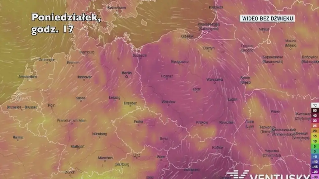 Prognozowana temperatura w ciągu kolejnych dni (Ventusky)