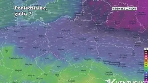 Prognozowana temperatura w ciągu kolejnych dni (Ventusky