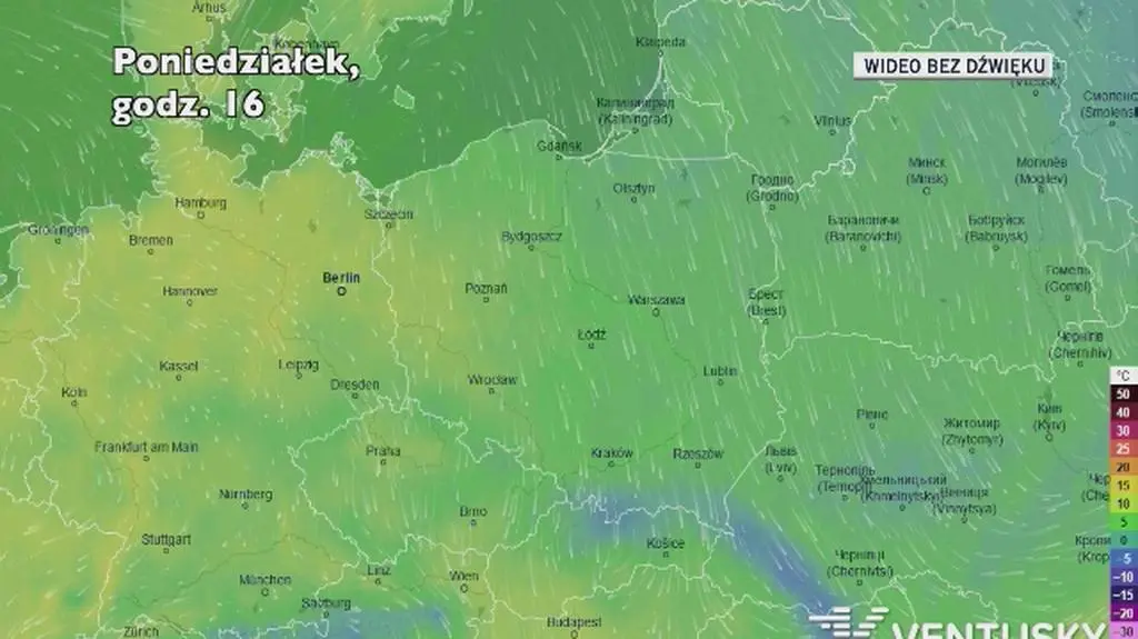 Prognozowana temperatura w ciągu kolejnych dni (Ventusky)