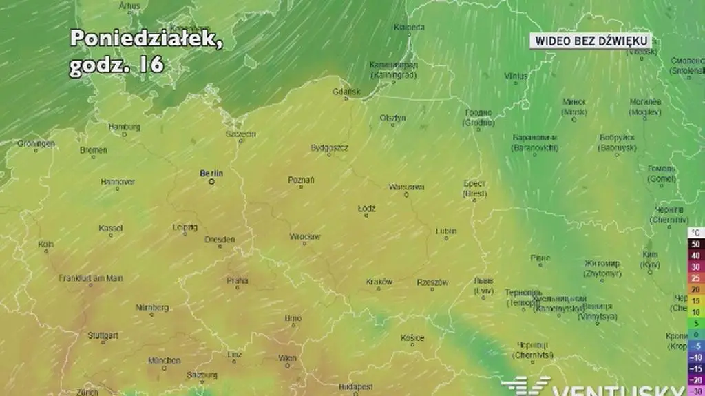 Prognozowana temperatura w ciągu kolejnych dni (Ventusky)