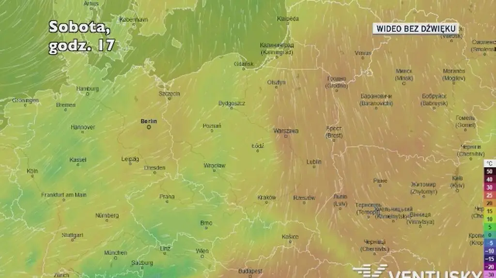 Prognozowana temperatura w ciągu kolejnych dni (Ventusky)