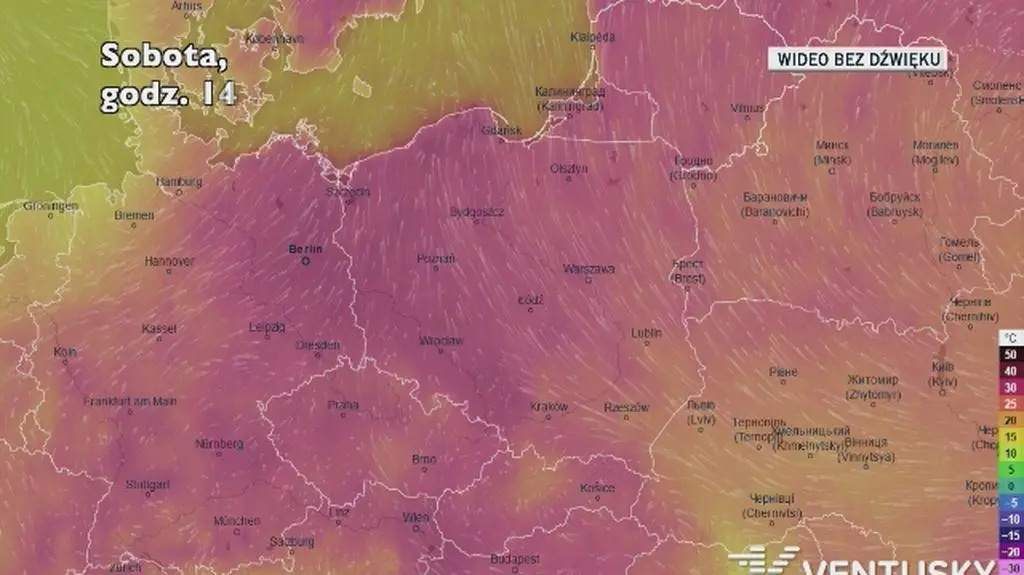 Prognozowana temperatura w ciągu kolejnych dni (Ventusky)