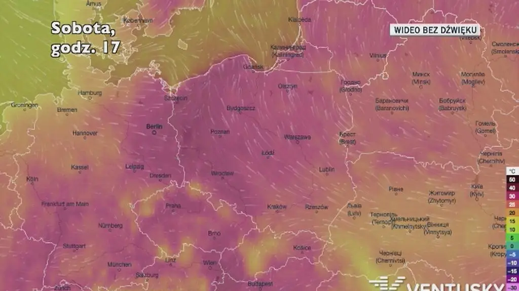 Prognozowana temperatura w ciągu kolejnych dni (Ventusky)
