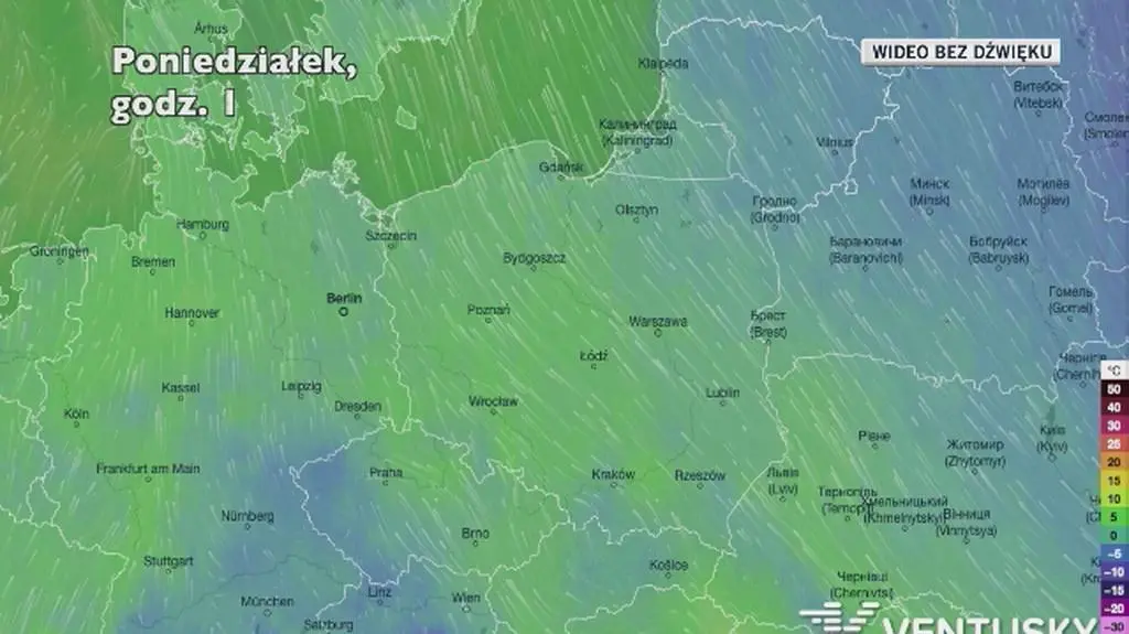 Prognozowana temperatura w kolejnych dniach (Ventusky)
