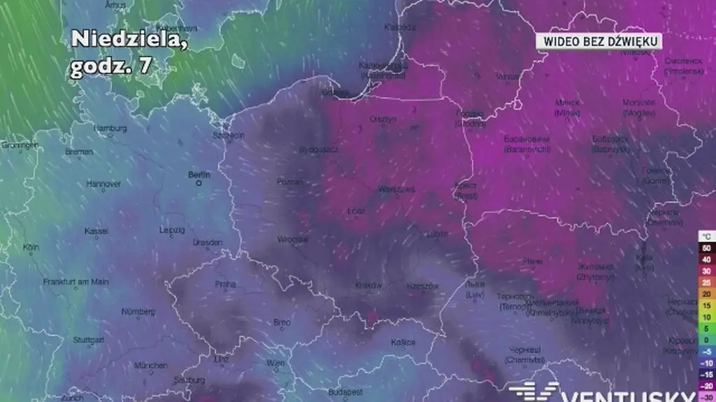 Prognozowana temperatura w kolejnych dniach (Ventusky)
