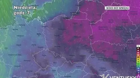 Prognozowana temperatura w kolejnych dniach (Ventusky)