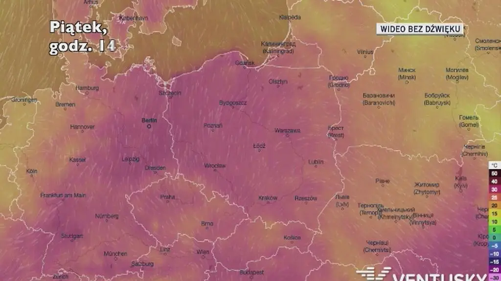 Prognozowana temperatura w kolejnych dniach (Ventusky