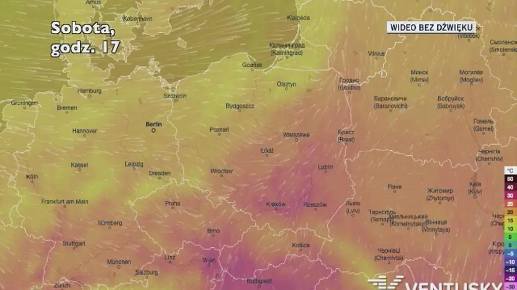 Prognozowana temperatura w kolejnych dniach (Ventusky