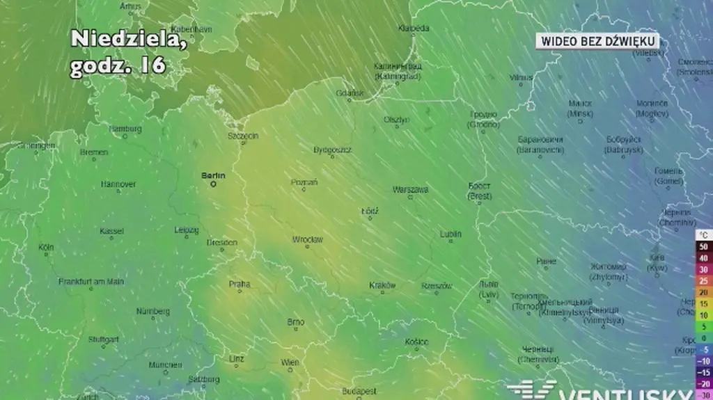 Prognozowana temperatura w kolejnych dniach (Ventusky