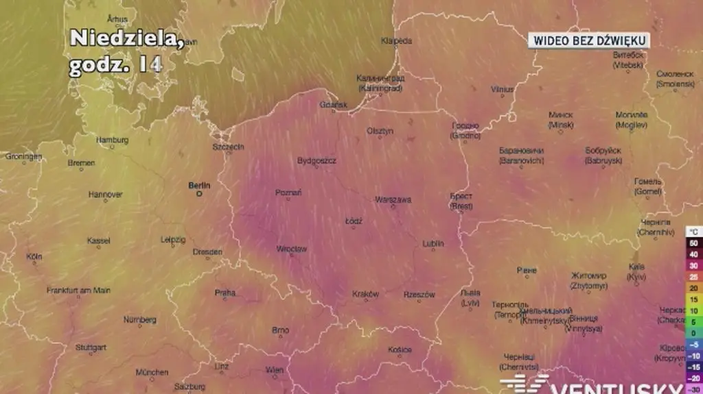 Prognozowana temperatura w kolejnych dniach (Ventusky.com)