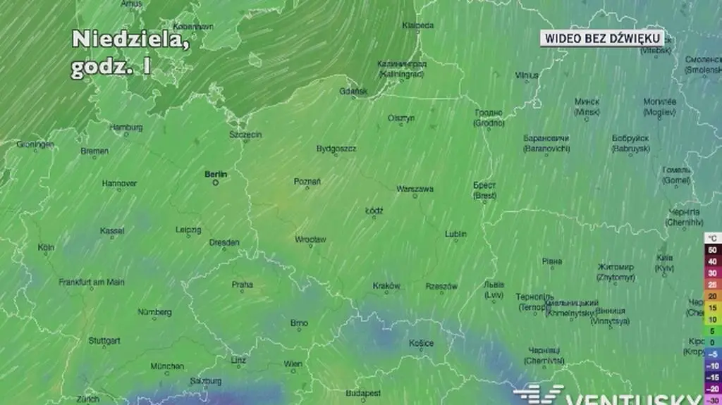 Prognozowana temperatura w kolejnych dniach (Ventusky.com)