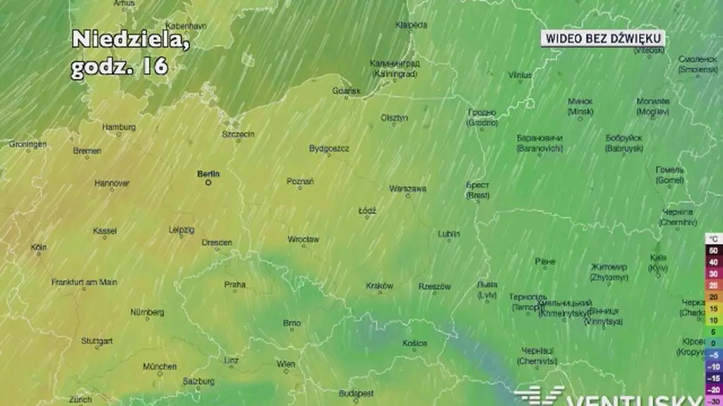 Prognozowana temperatura w kolejnych dniach (Ventusky.com)