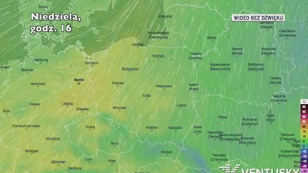 Prognozowana temperatura w kolejnych dniach (Ventusky.com)