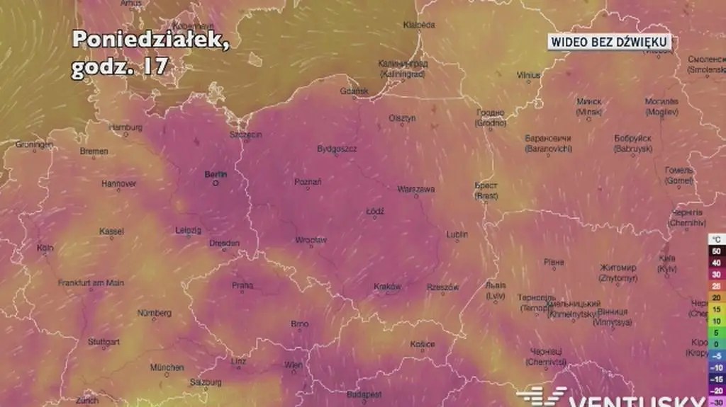 Prognozowana temperatura w kolejnych dniach (Ventusky