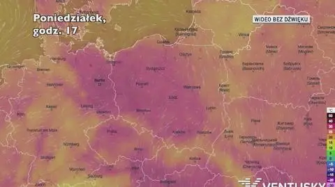 Prognozowana temperatura w kolejnych dniach (Ventusky