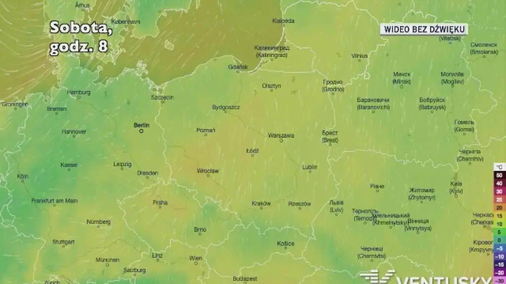 Prognozowana temperatura w kolejnych dniach (Ventusky