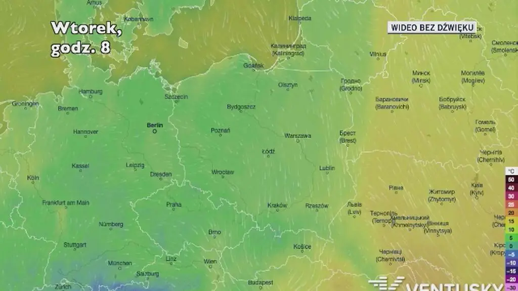 Prognozowana temperatura w kolejnych dniach (Ventusky