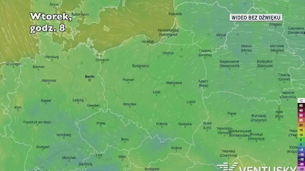 Prognozowana temperatura w kolejnych dniach (Ventusky