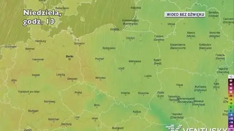 Prognozowana temperatura w kolejnych dniach (Ventusky