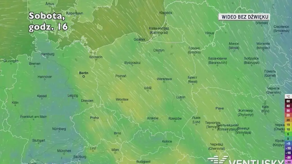 Prognozowana temperatura w kolejnych dniach (Ventusky.com)