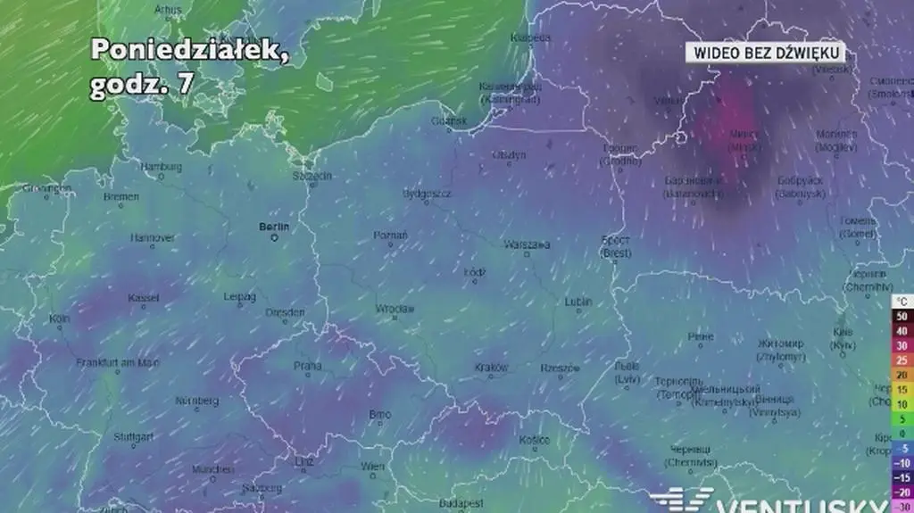 Prognozowana temperatura w kolejnych dniach (Ventusky)