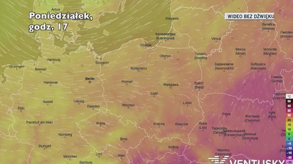 Prognozowana temperatura w najbliższych dniach