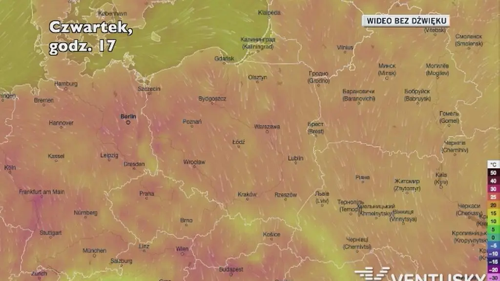Prognozowana temperatura w najbliższych dniach