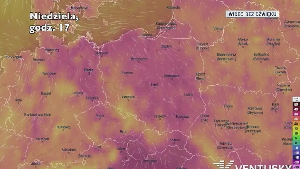 Prognozowana temperatura w najbliższych dniach