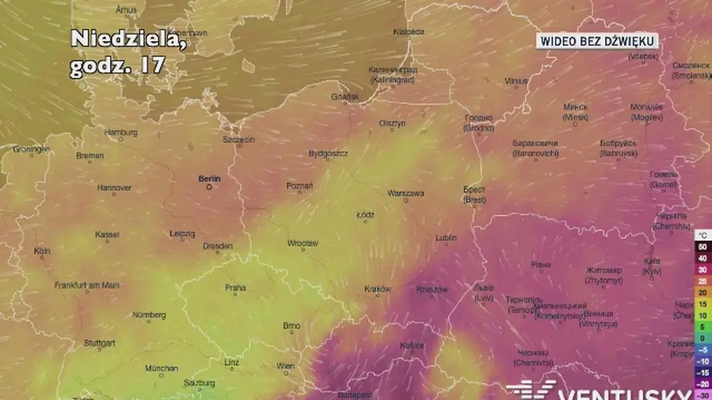 Prognozowana temperatura w najbliższych dniach