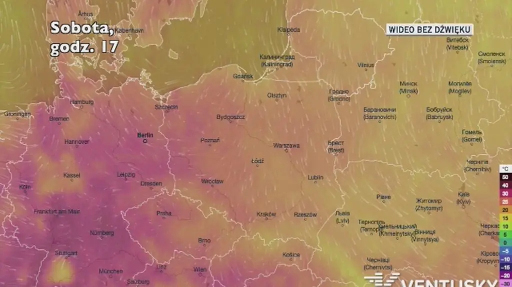 Prognozowana temperatura w najbliższych dniach