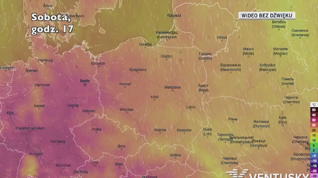 Prognozowana temperatura w najbliższych dniach