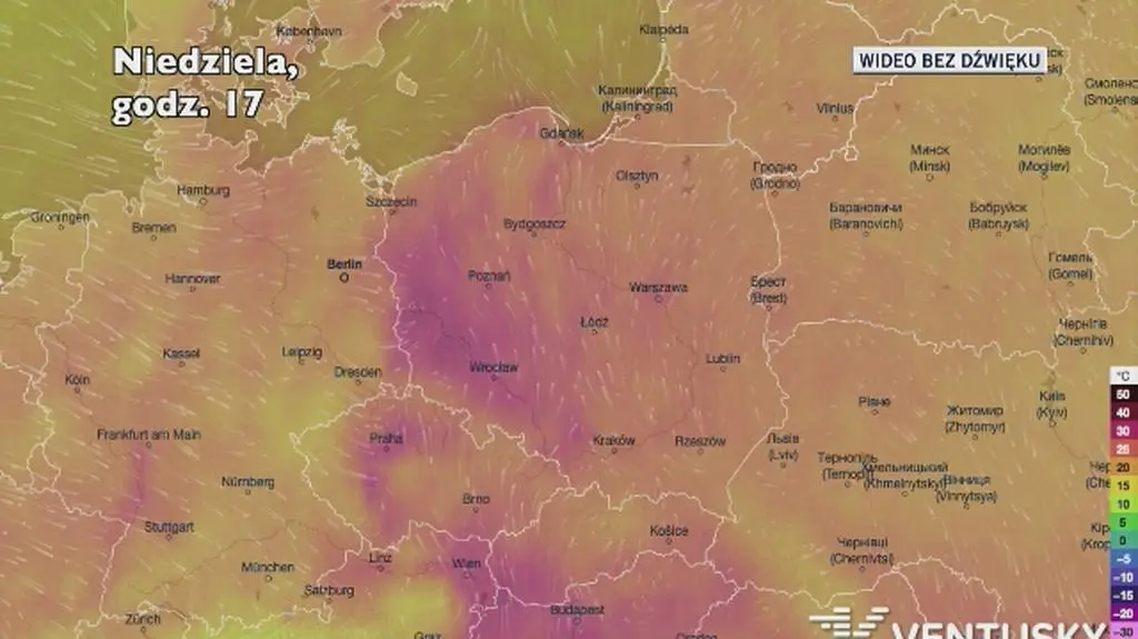 Prognozowana temperatura w najbliższych dniach